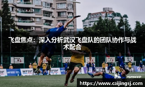 飞盘焦点：深入分析武汉飞盘队的团队协作与战术配合
